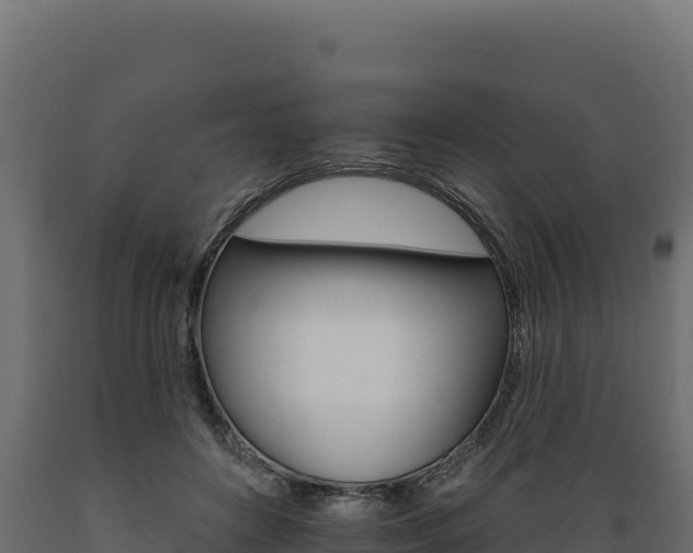 X0000089940504200707061103