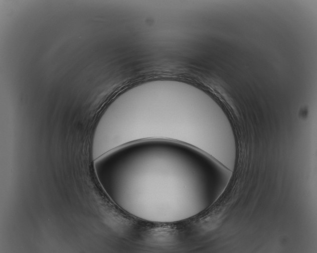 X0000089940505200707061103