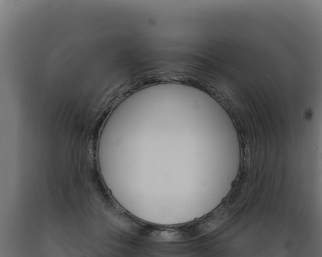 X0000089940506200707061103