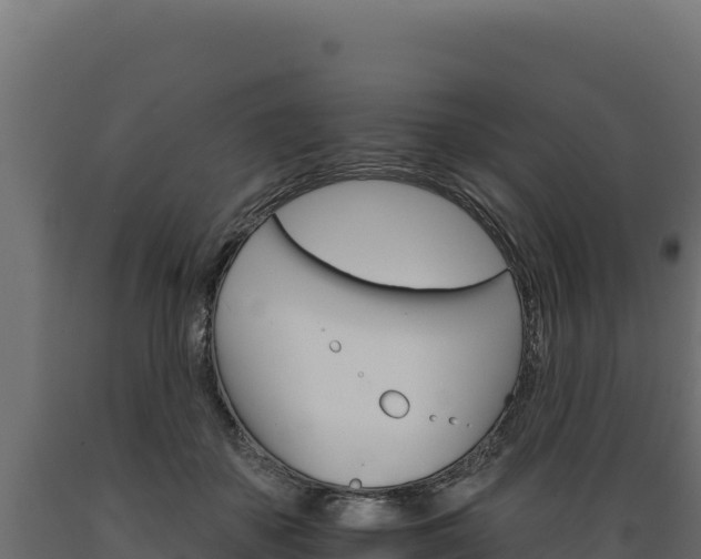 X0000089940507200707061103