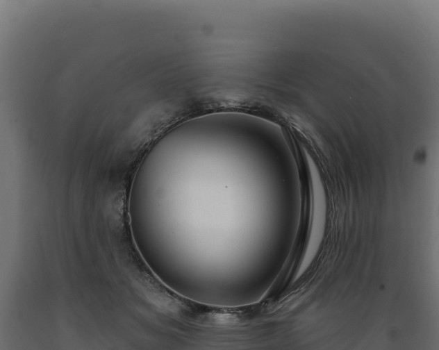 X0000089940509200707061103