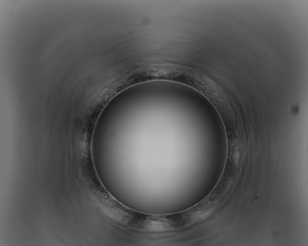 X0000089940510200707061103