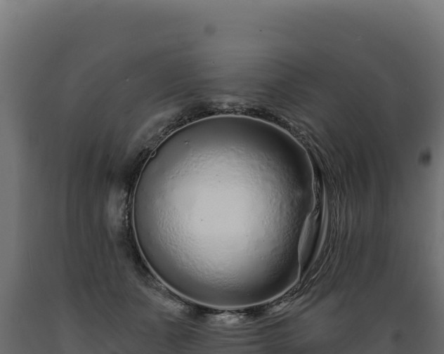 X0000089940511200707061103