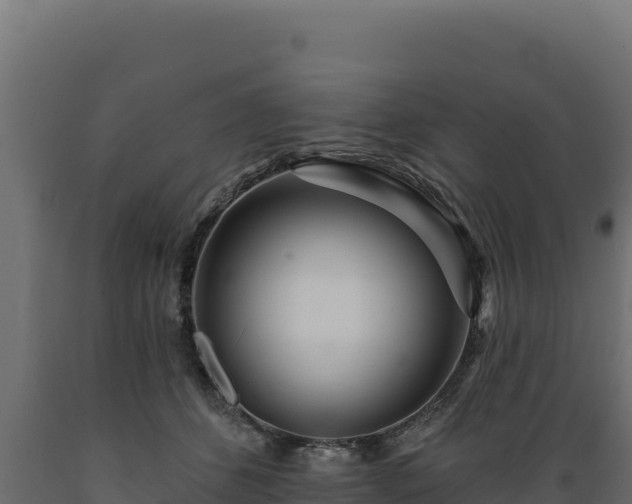 X0000089940512200707061103