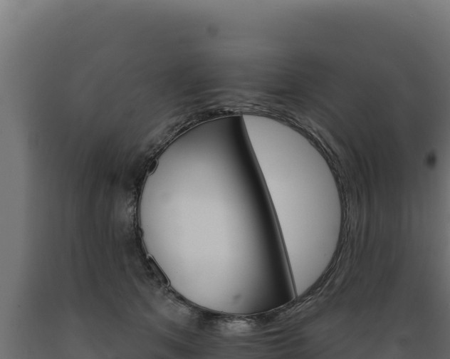 X0000089940513200707061103