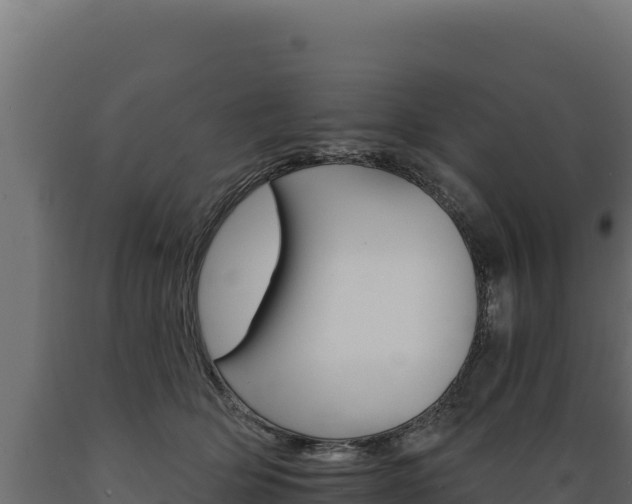 X0000089940514200707061103