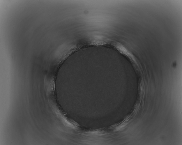 X0000089940517200707061103