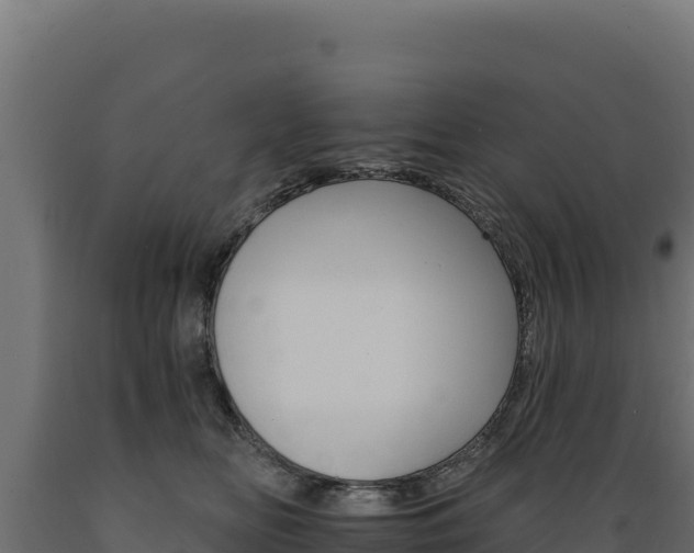 X0000089940518200707061102