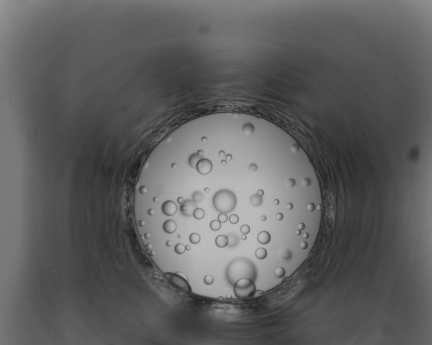 X0000089940519200707061102