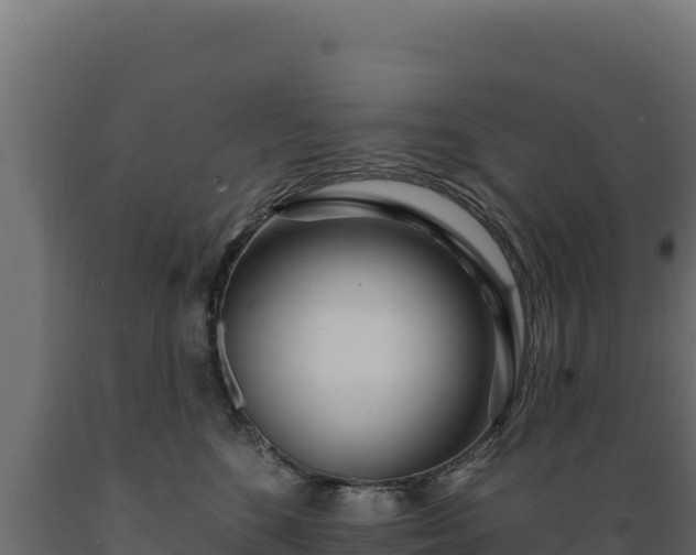 X0000089940520200707061102