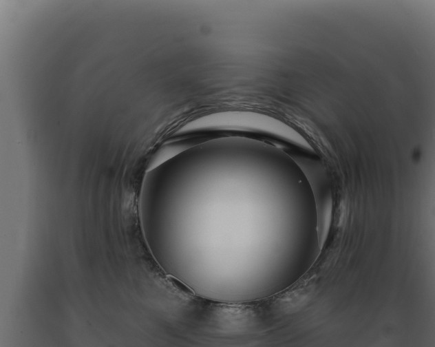 X0000089940521200707061102