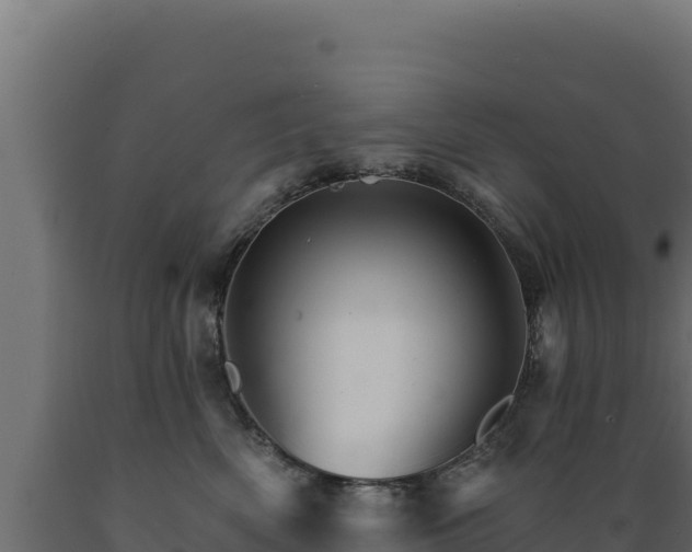 X0000089940522200707061102