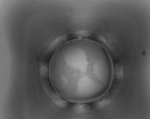 X0000089940523200707061102