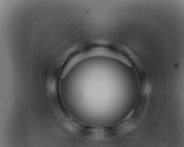 X0000089940524200707061102