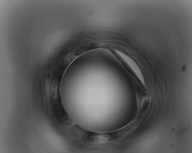 X0000089940525200707061102