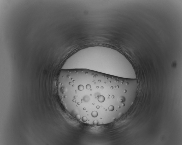 X0000089940527200707061102