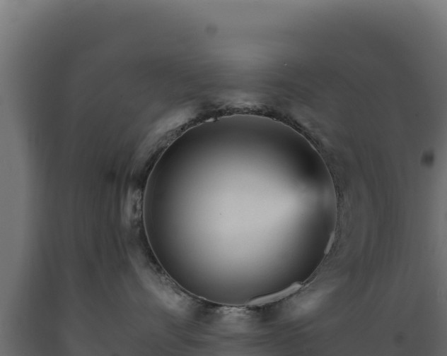 X0000089940528200707061102