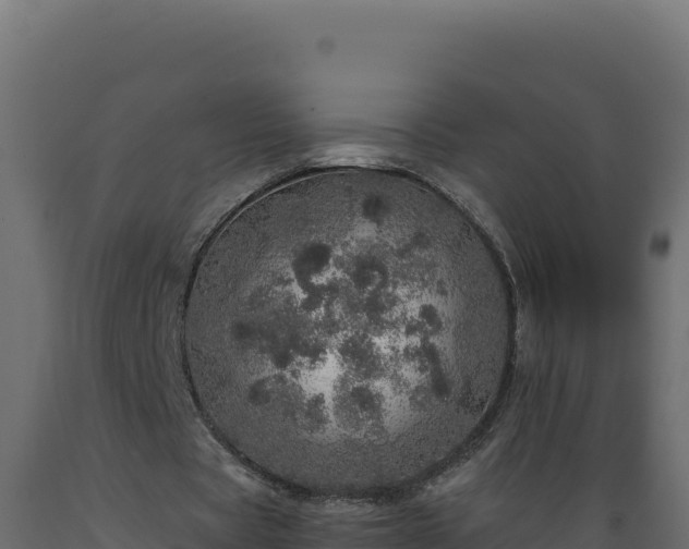 X0000089940529200707061102