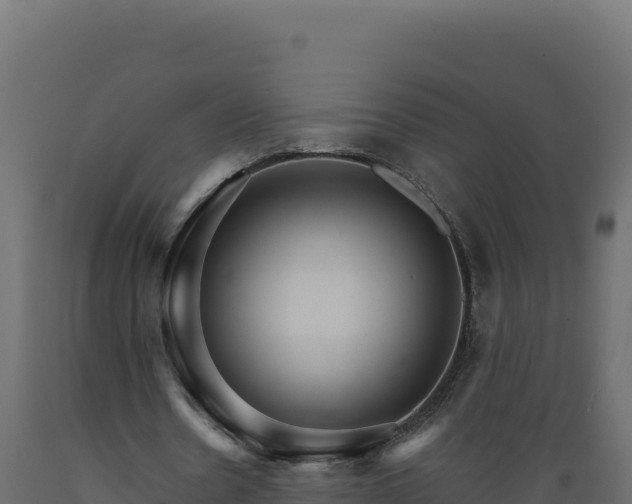 X0000089940530200707061102