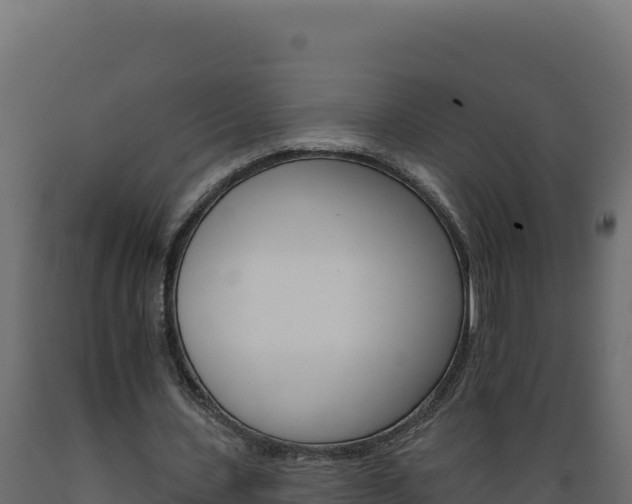 X0000089940531200707061102