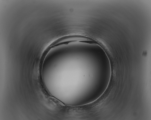 X0000089940532200707061102