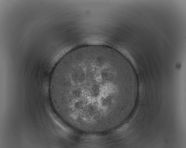 X0000089940533200707061102