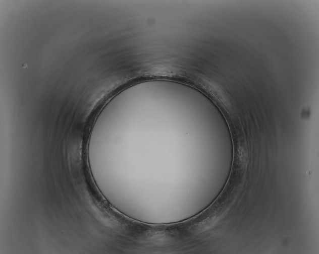 X0000089940534200707061102