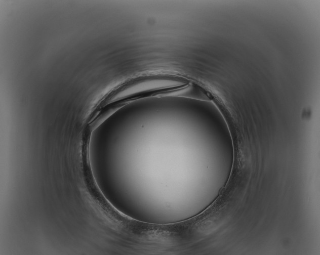 X0000089940535200707061102