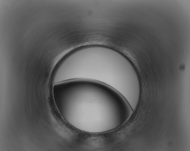 X0000089940536200707061102