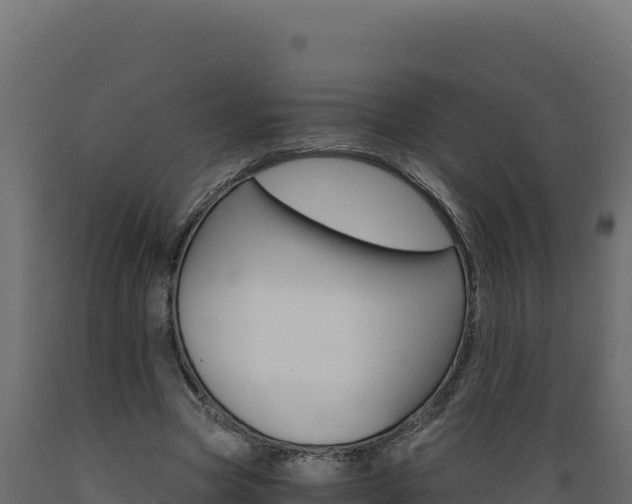 X0000089940537200707061102