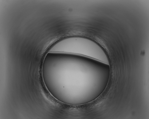 X0000089940538200707061102