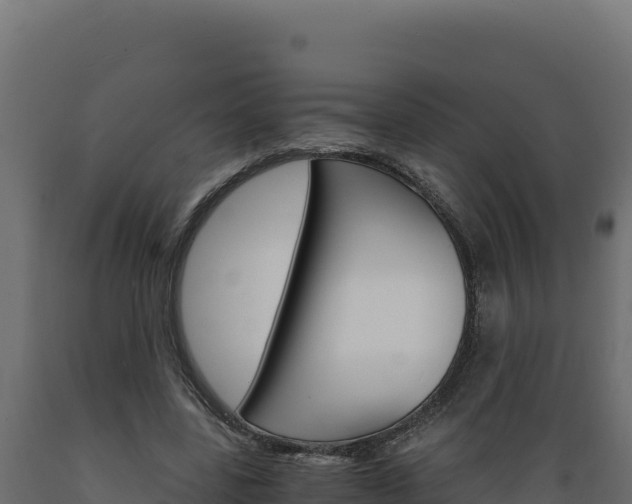 X0000089940539200707061102