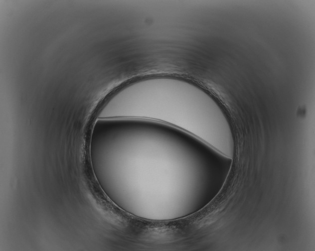 X0000089940540200707061102