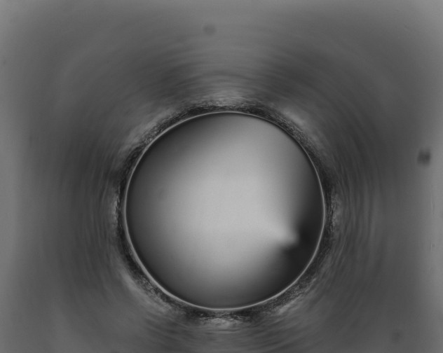 X0000089940542200707061102