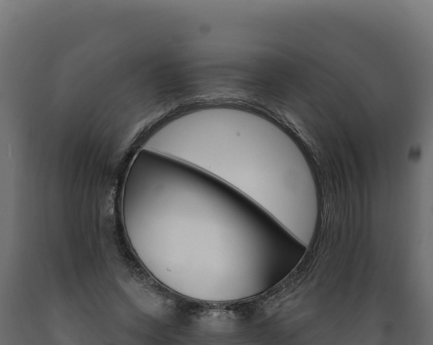 X0000089940543200707061102