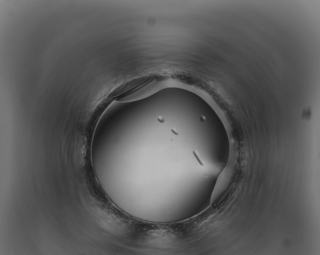 X0000089940544200707061102