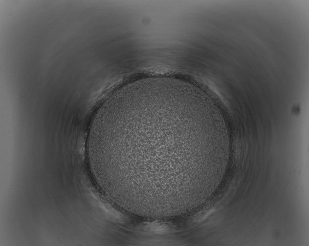 X0000089940545200707061102