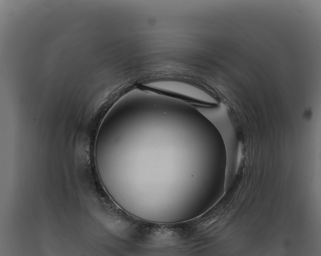 X0000089940547200707061102