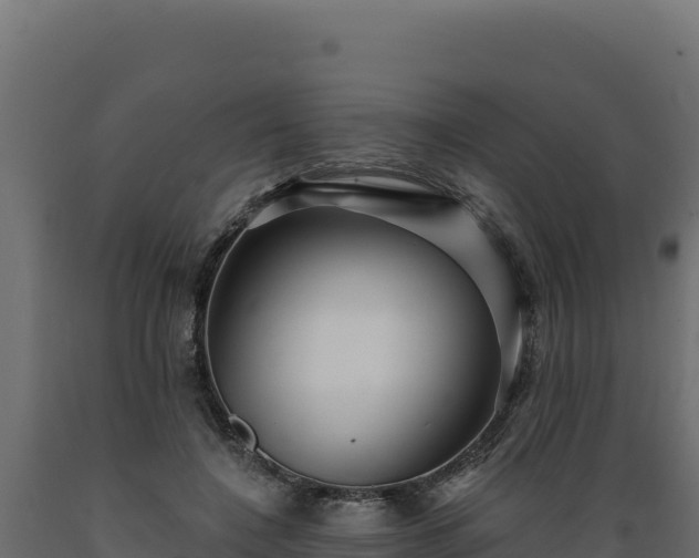 X0000089940548200707061102