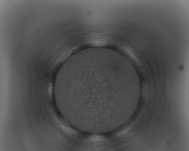 X0000089940549200707061102