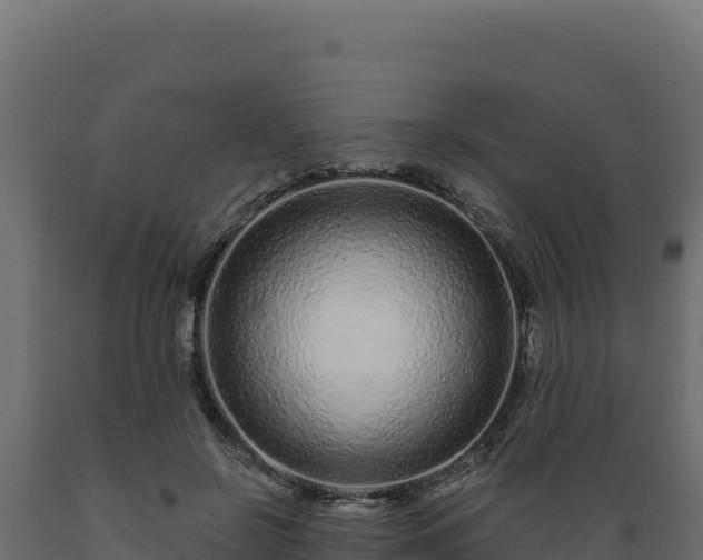 X0000089940550200707061102