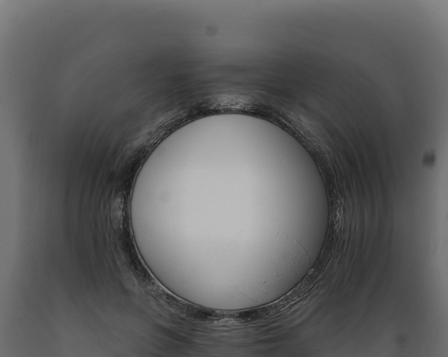 X0000089940551200707061102