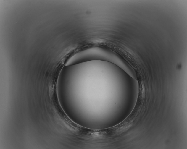 X0000089940558200707061102