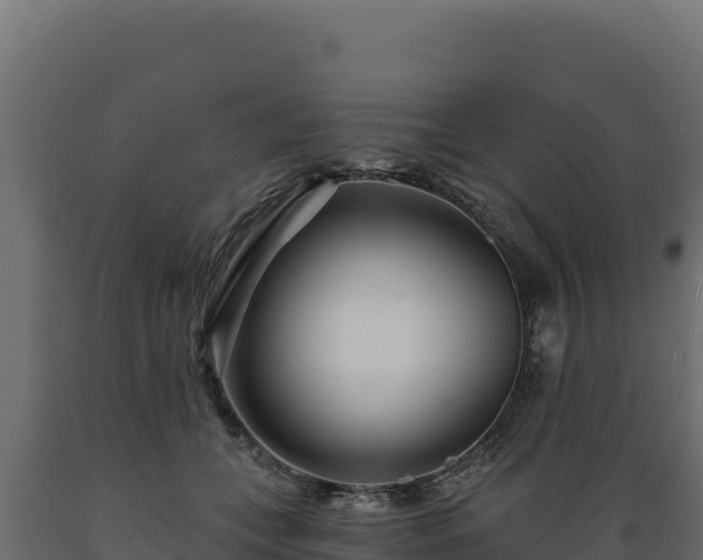 X0000089940559200707061102