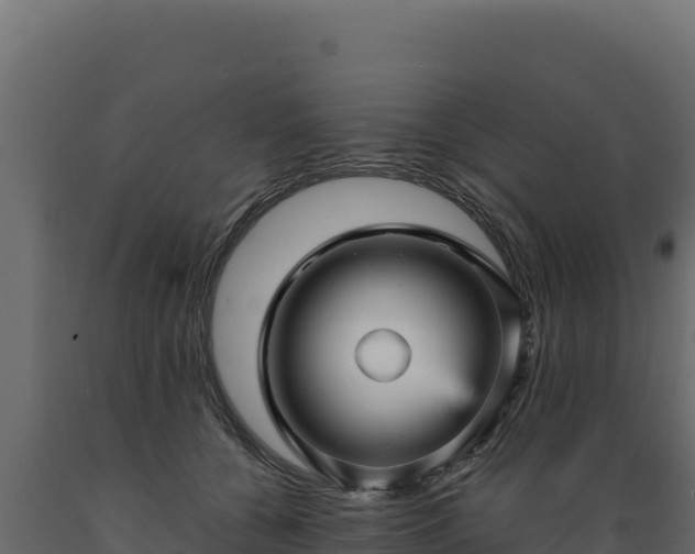 X0000089940560200707061102