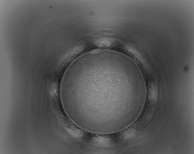 X0000089940561200707061102