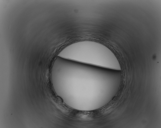 X0000089940563200707061102