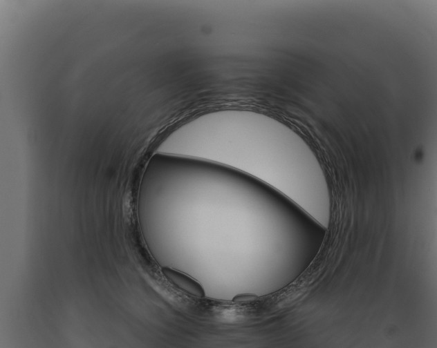 X0000089940564200707061102