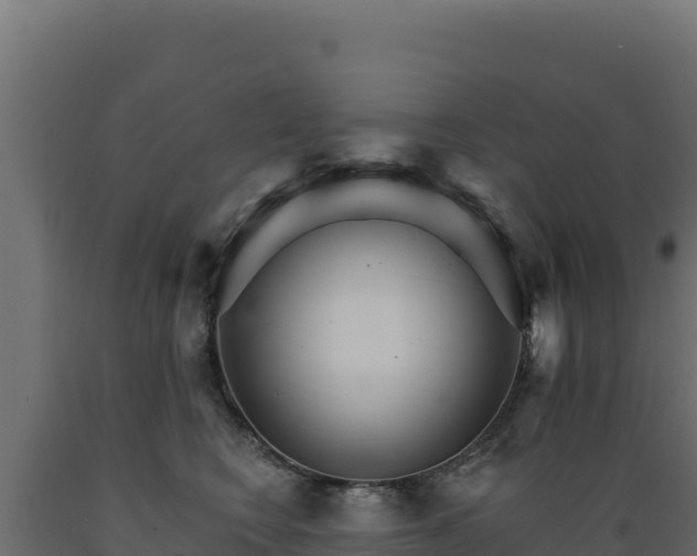 X0000089940566200707061102