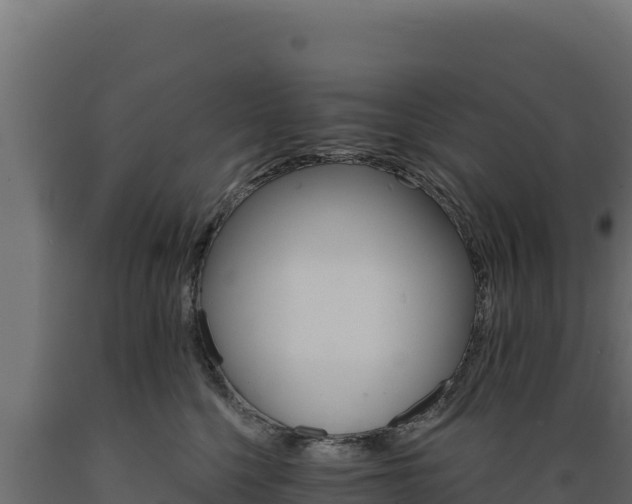 X0000089940568200707061102